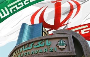 رشد 61 درصدی حمایت بانک کشاورزی از تولید گوشت قرمز در کشور